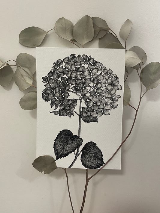 (PRE ORDER) Hydrangea: Black and White Print