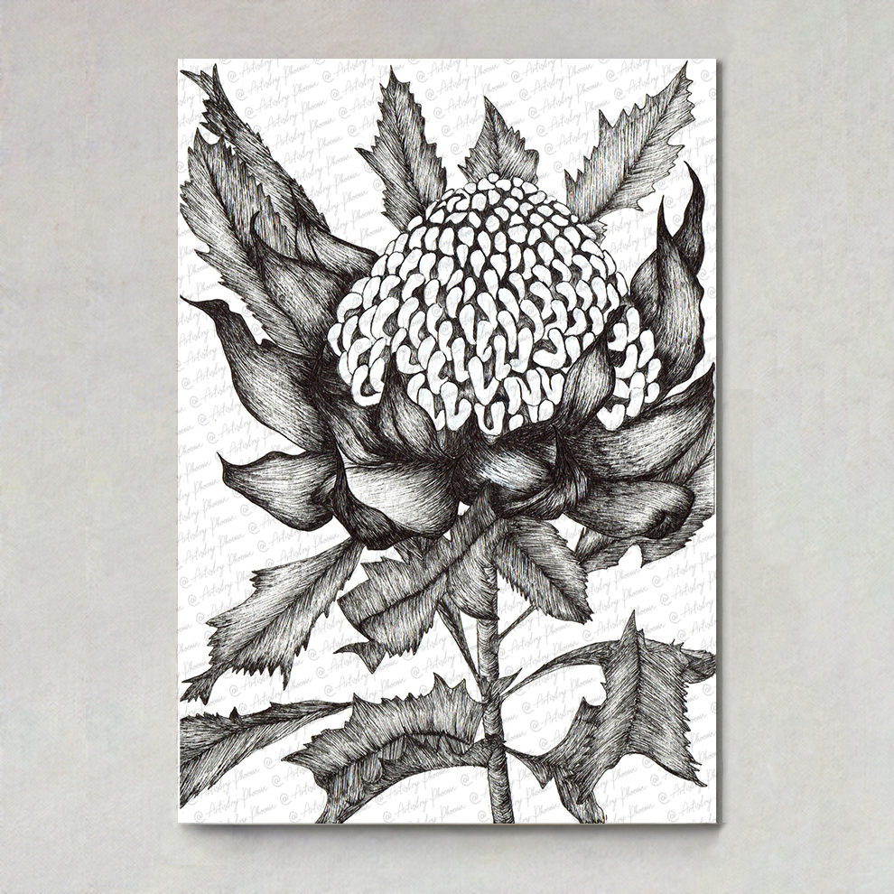 (PRE ORDER) Waratah: Black and White Print