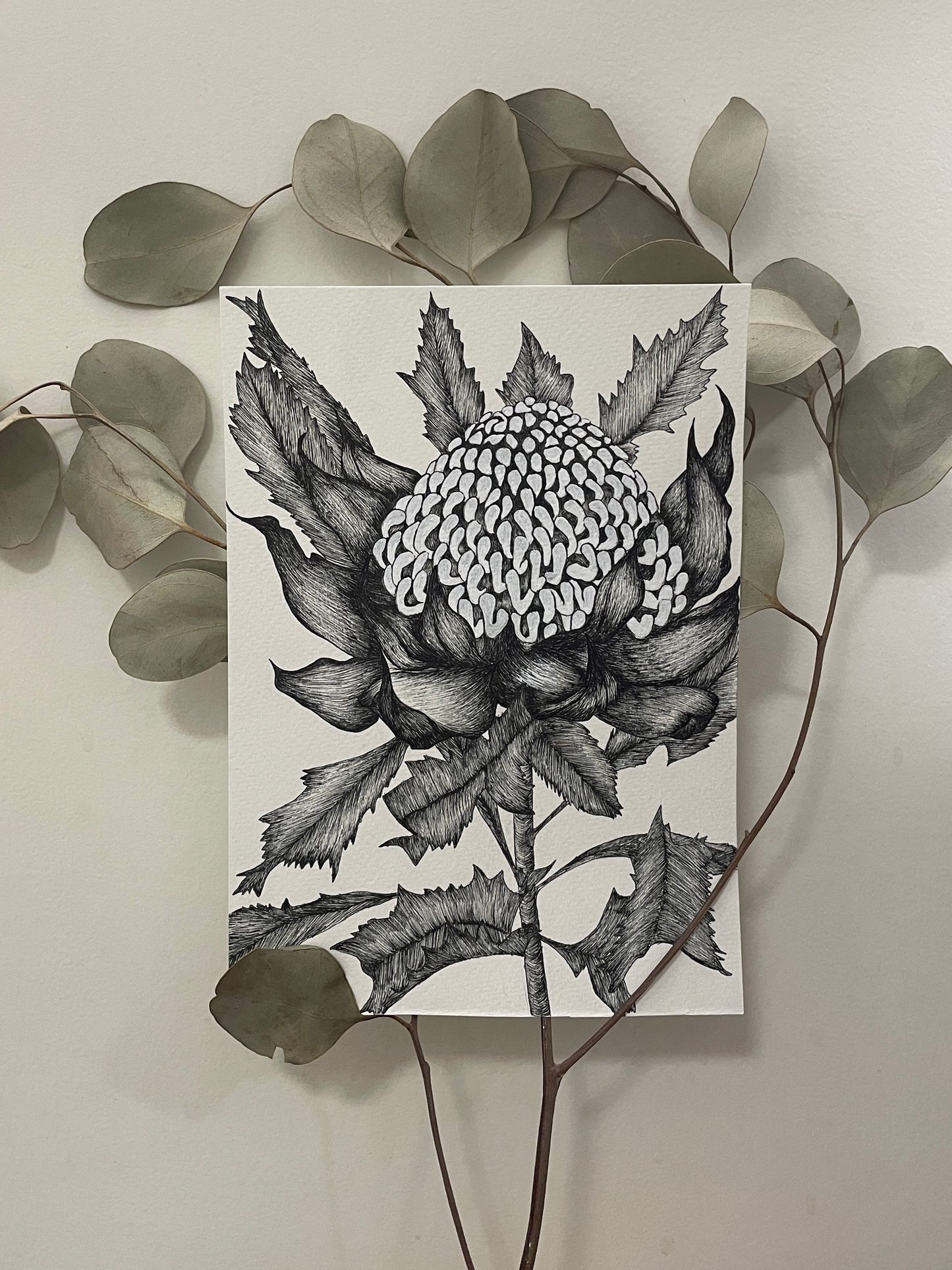 (PRE ORDER) Waratah: Black and White Print